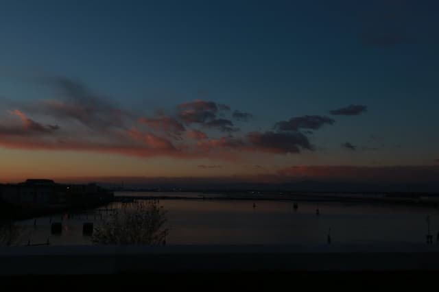 Kartoffel- oder Reistage